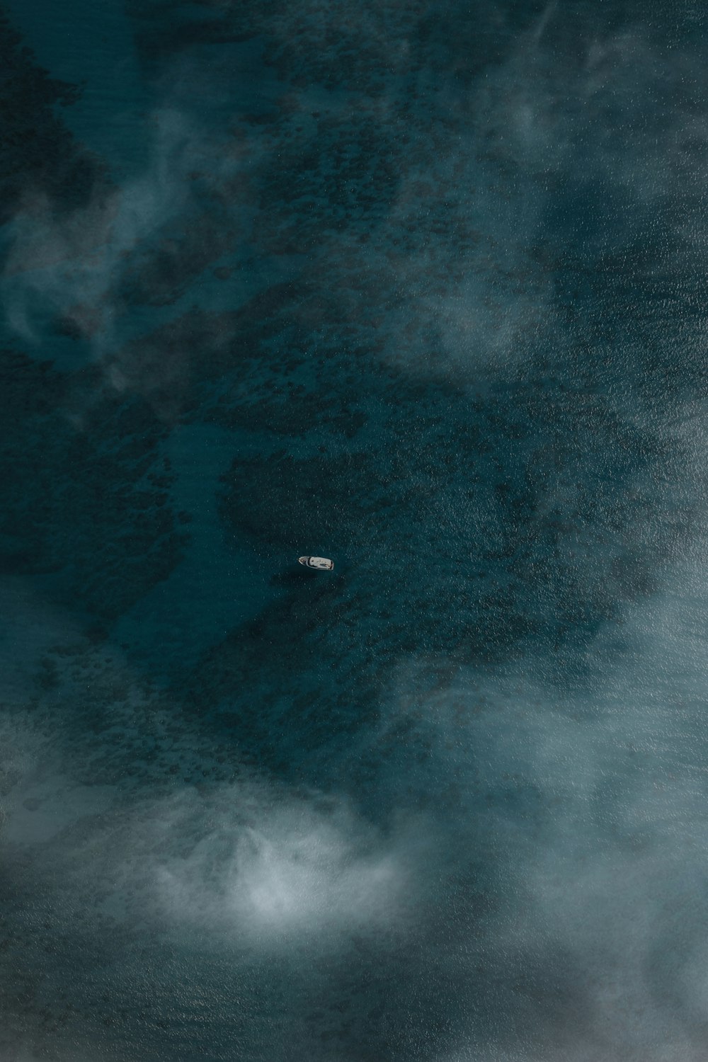 bird flying over the clouds