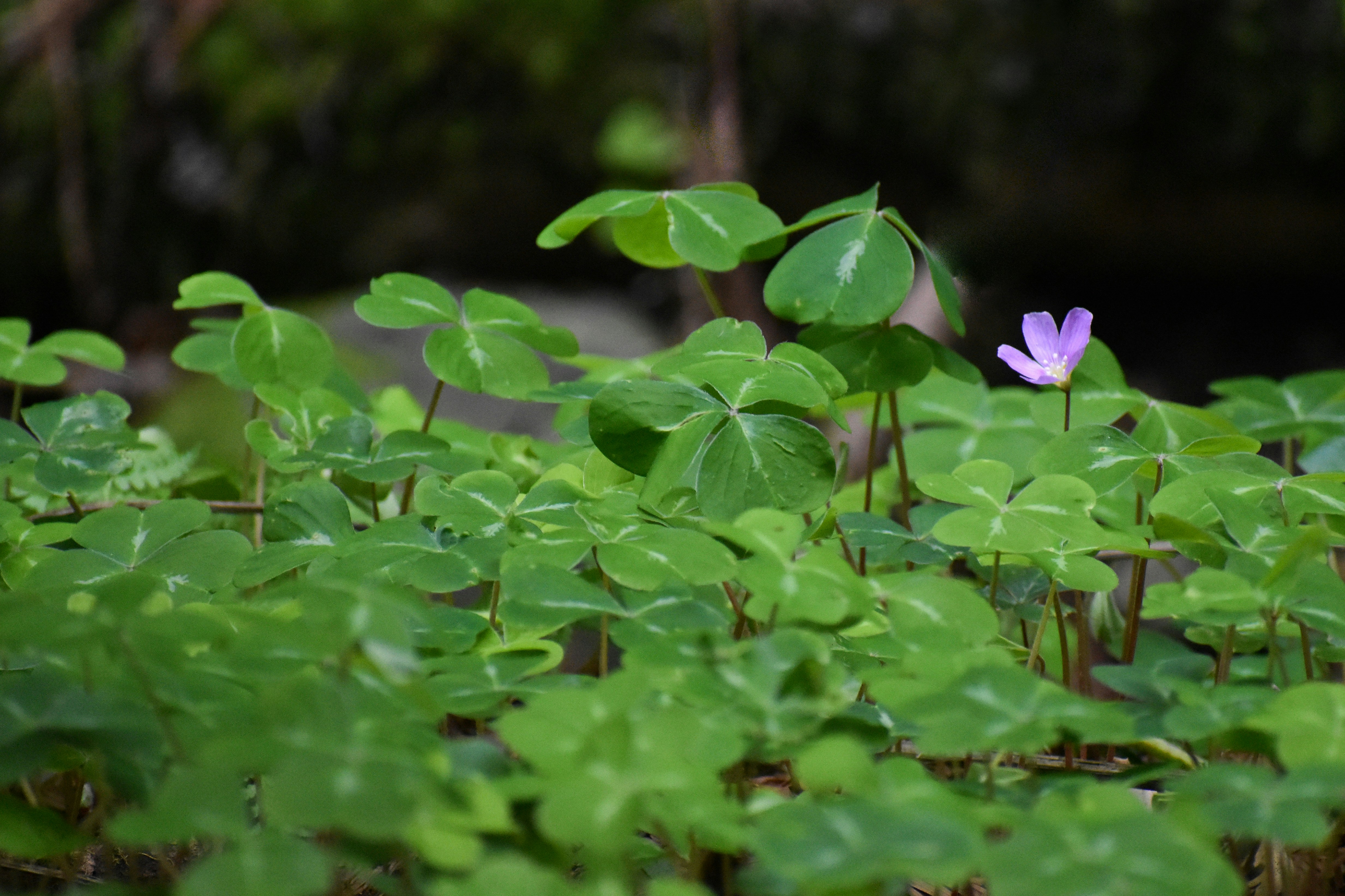 Photo by elisastonephotography