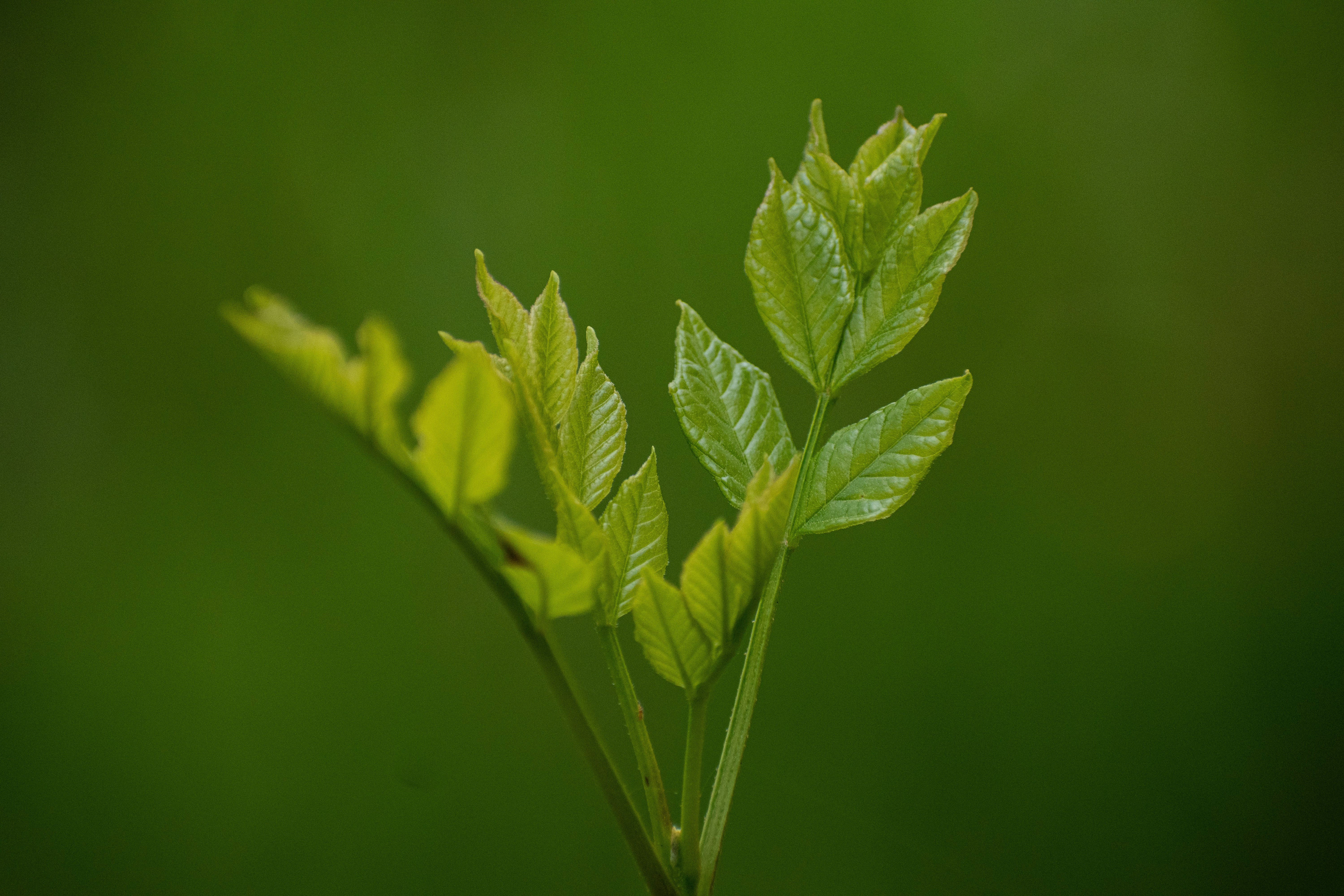 Photo by elisastonephotography