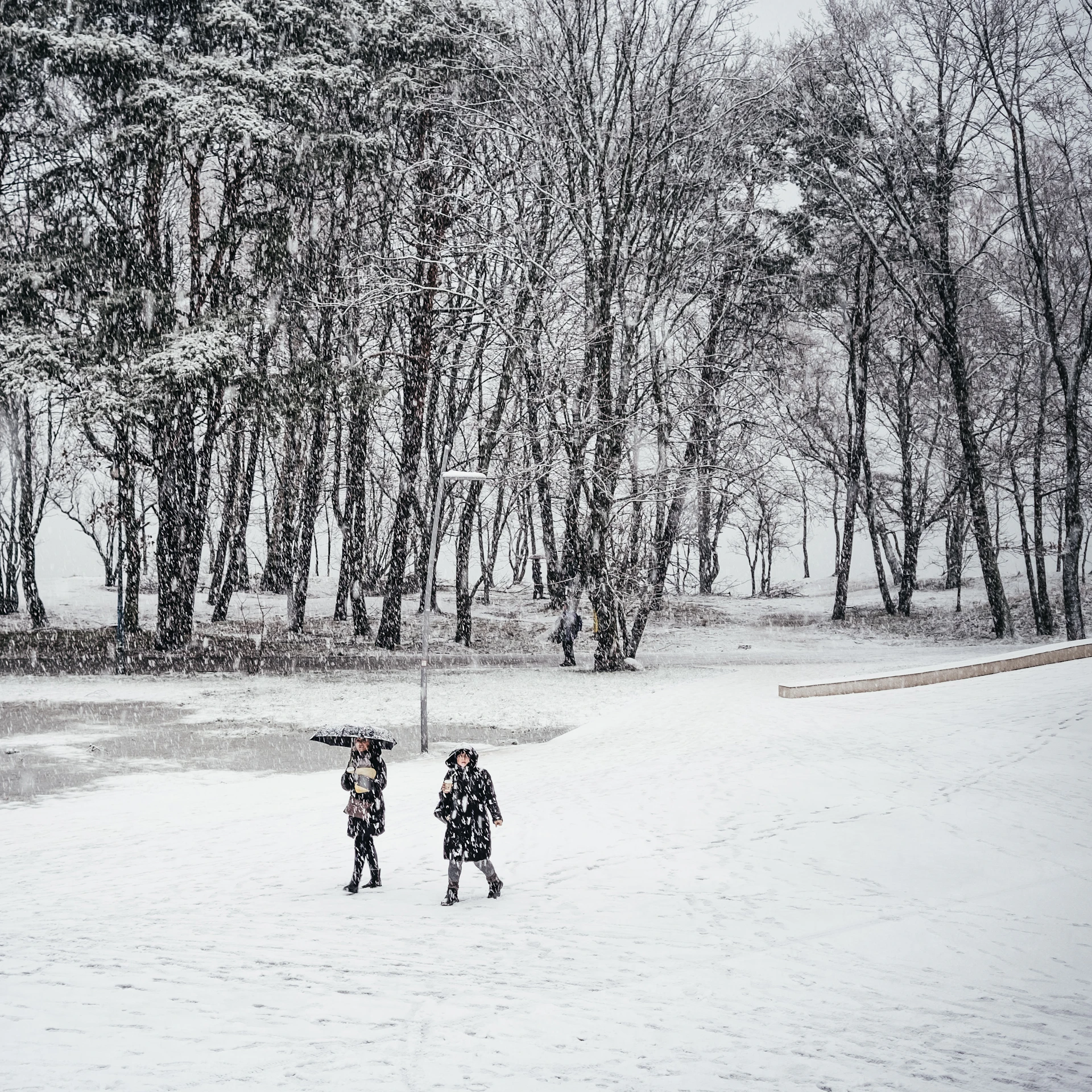 2 person walking on snow covered ground during daytime