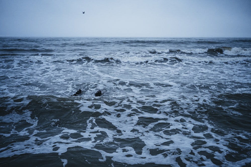 birds flying over the sea during daytime