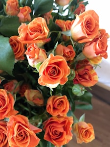 Bright Orange Roses
