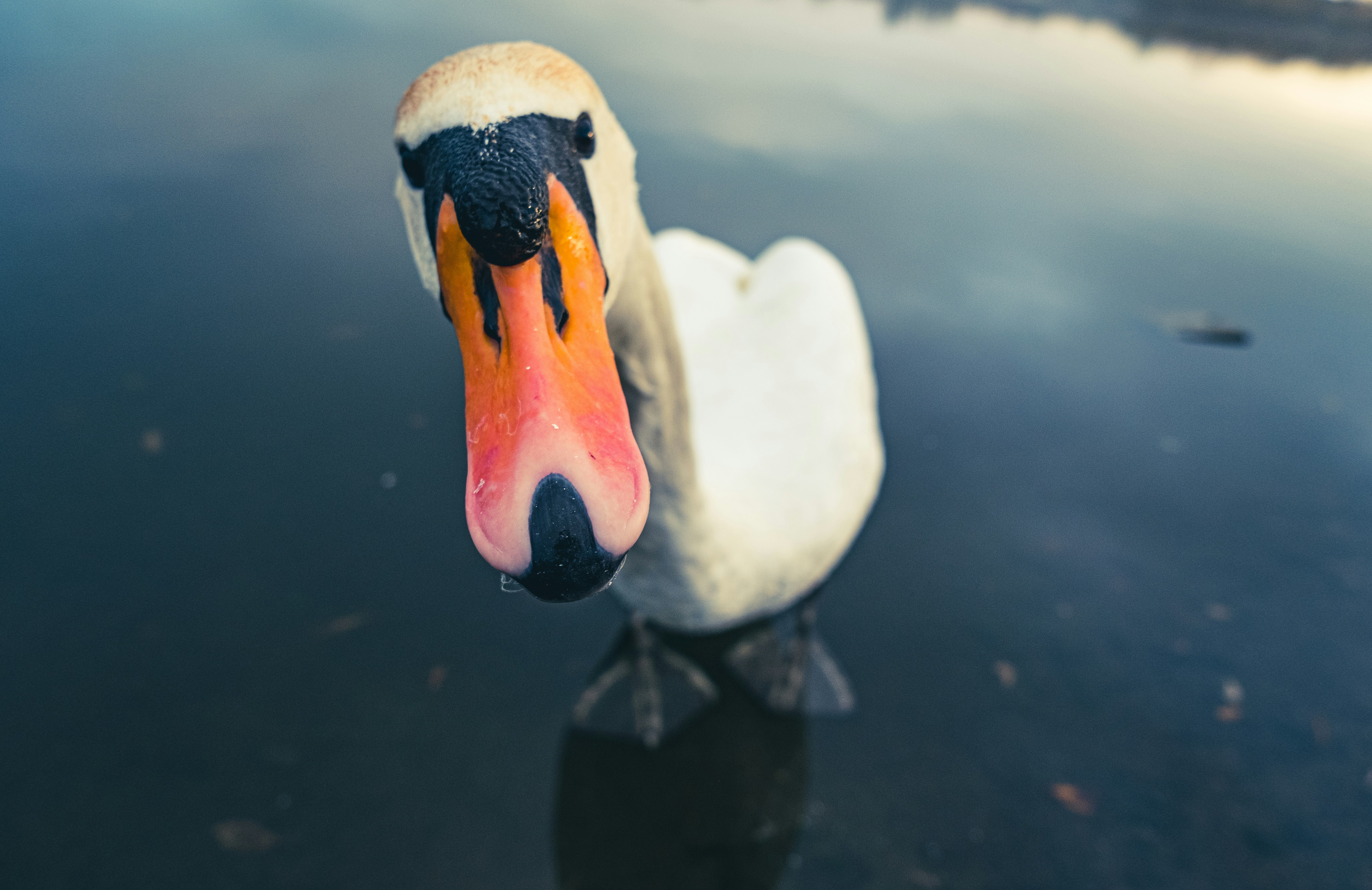 Photo by grievek1610begur