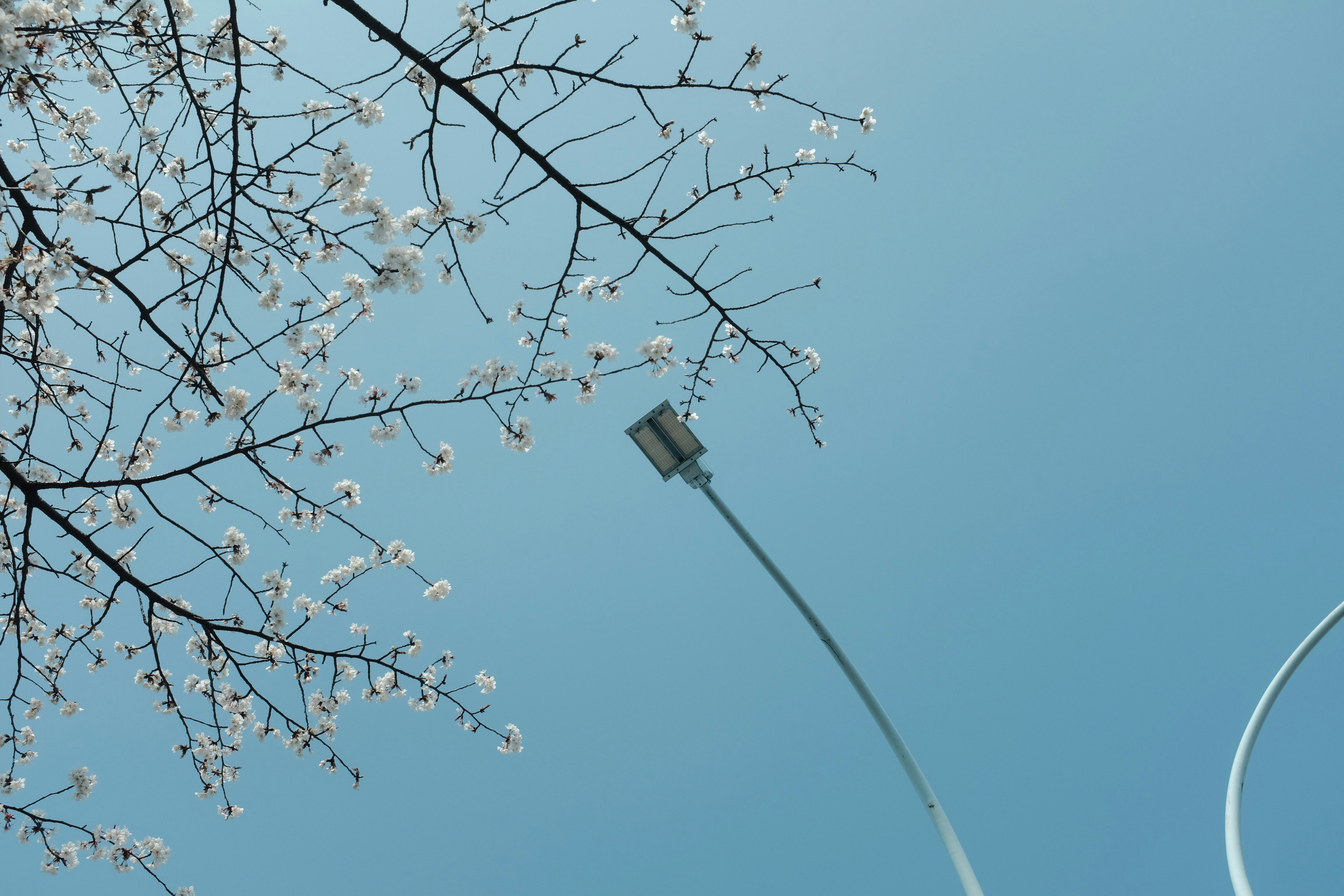 La vente de printemps d'Amazon démarre le 25 mars