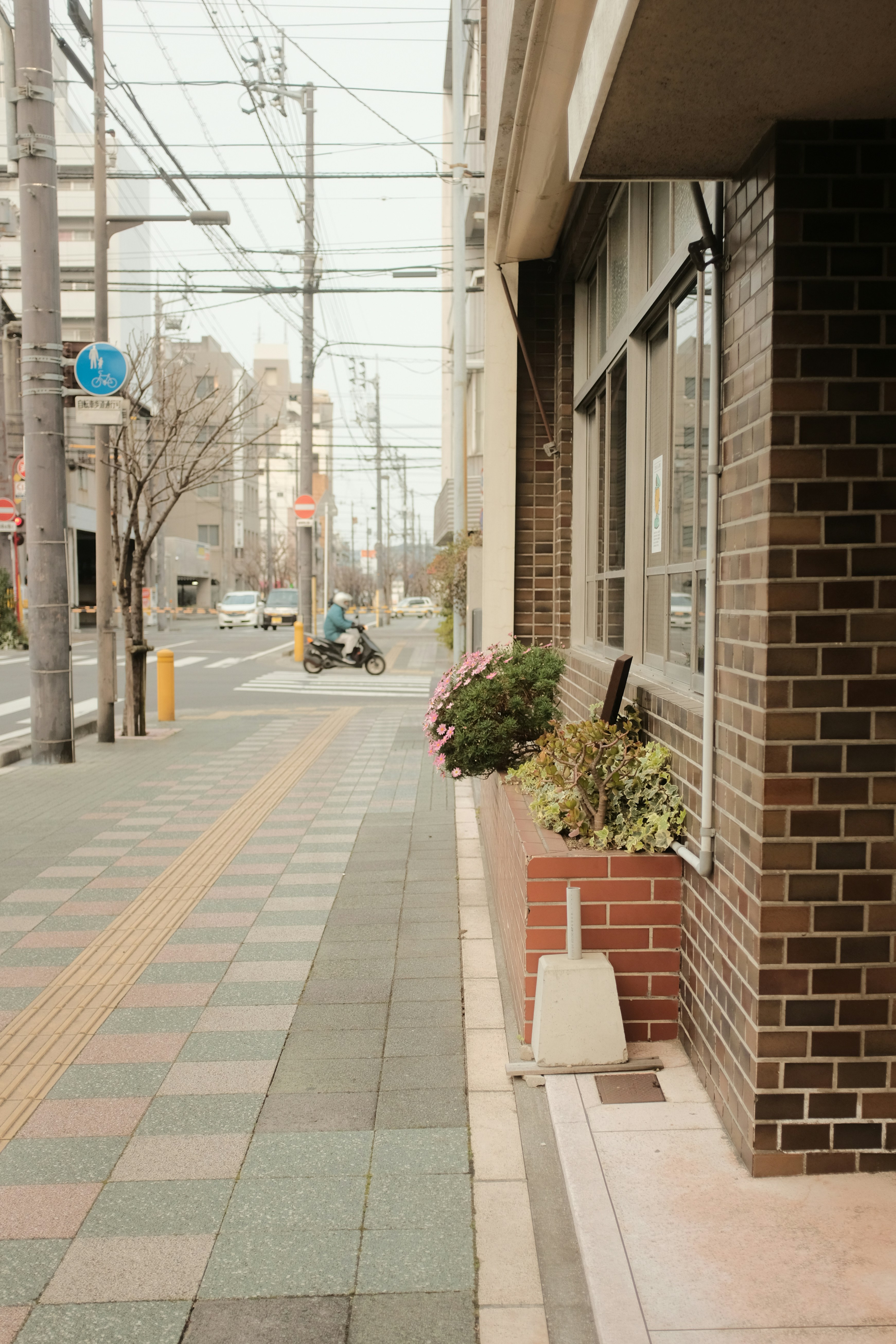 Photo by mak_jp