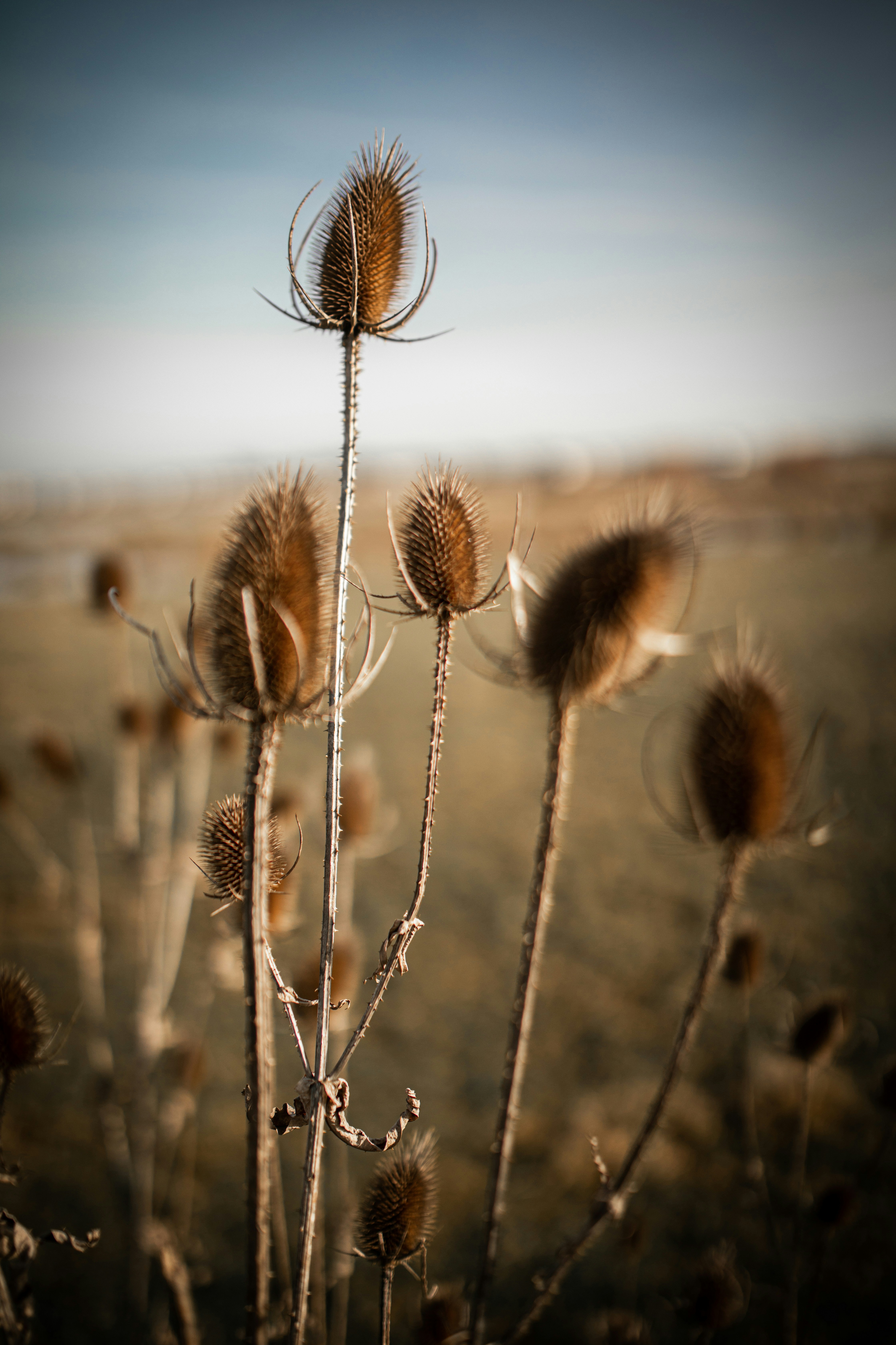 Photo by kajareichardtphotos