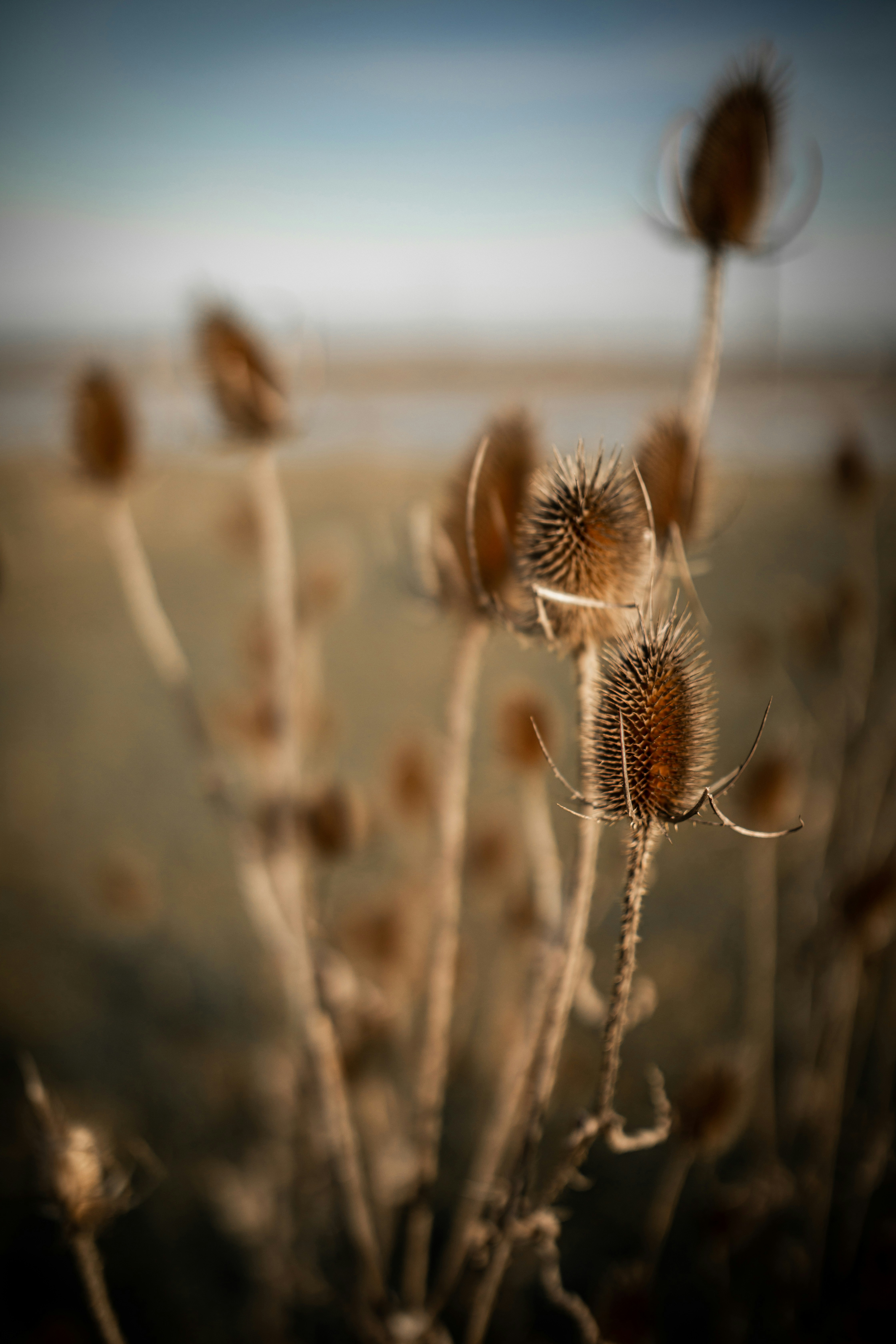 Photo by kajareichardtphotos