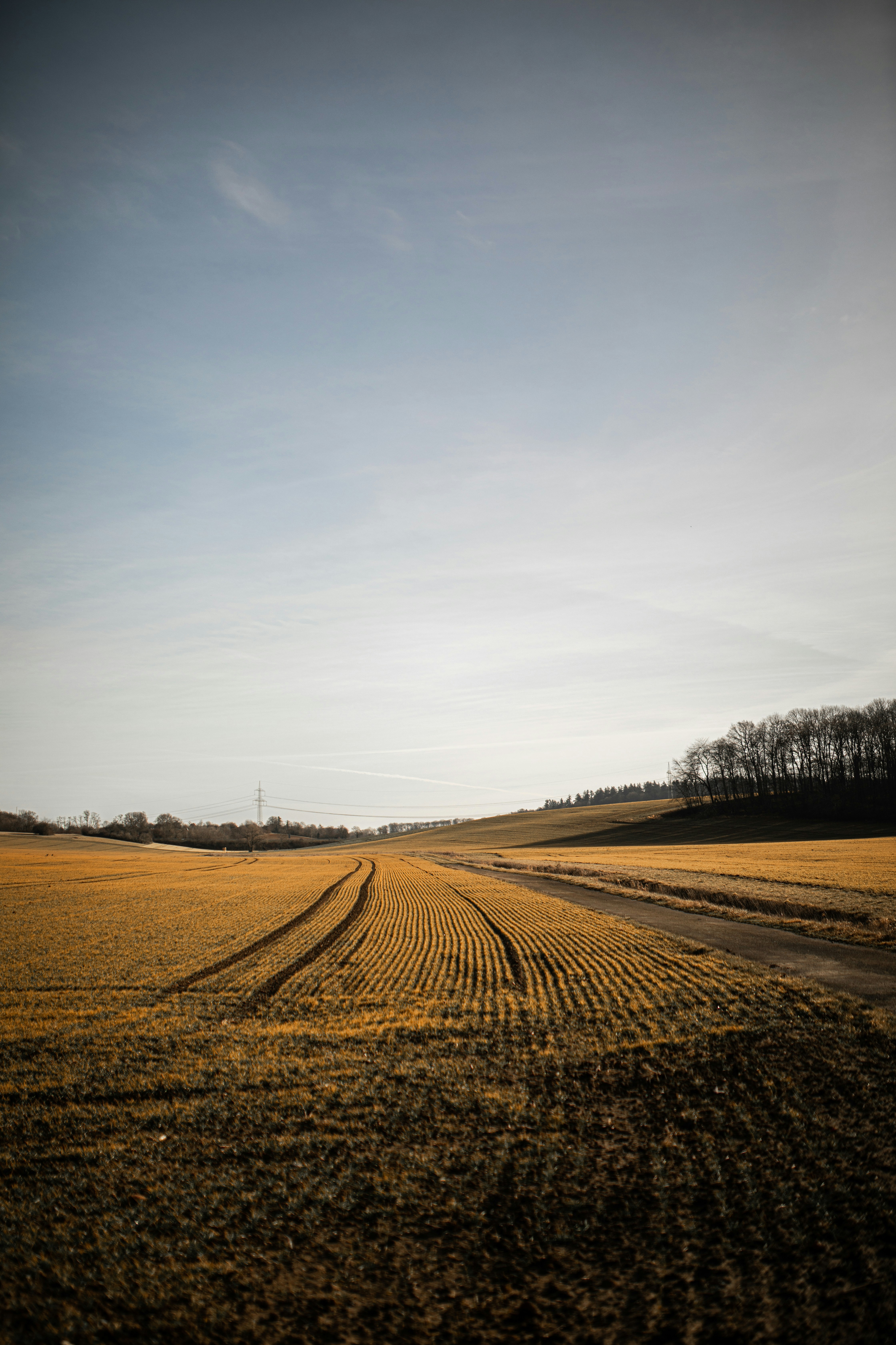 Photo by kajareichardtphotos