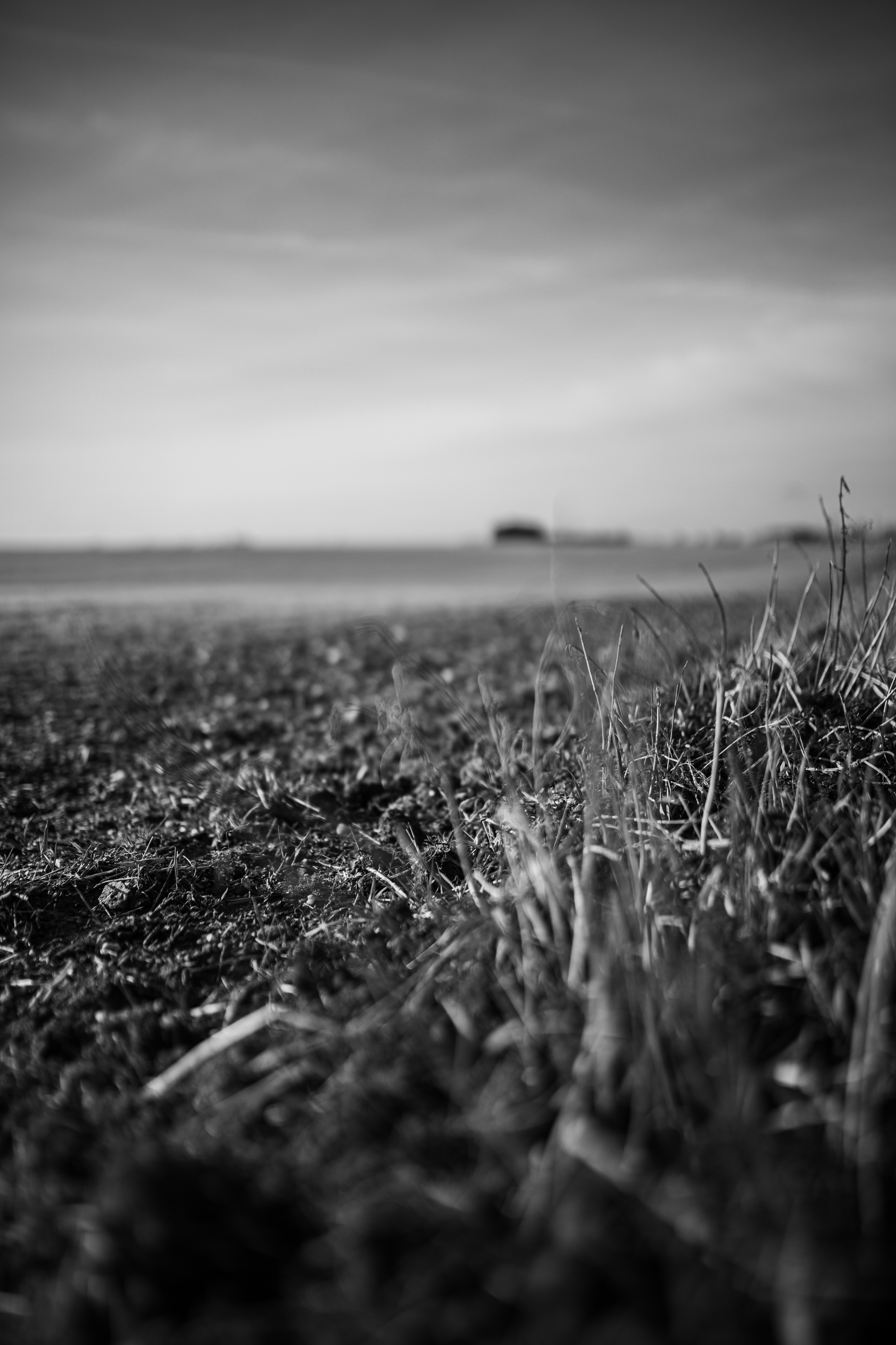 Photo by kajareichardtphotos