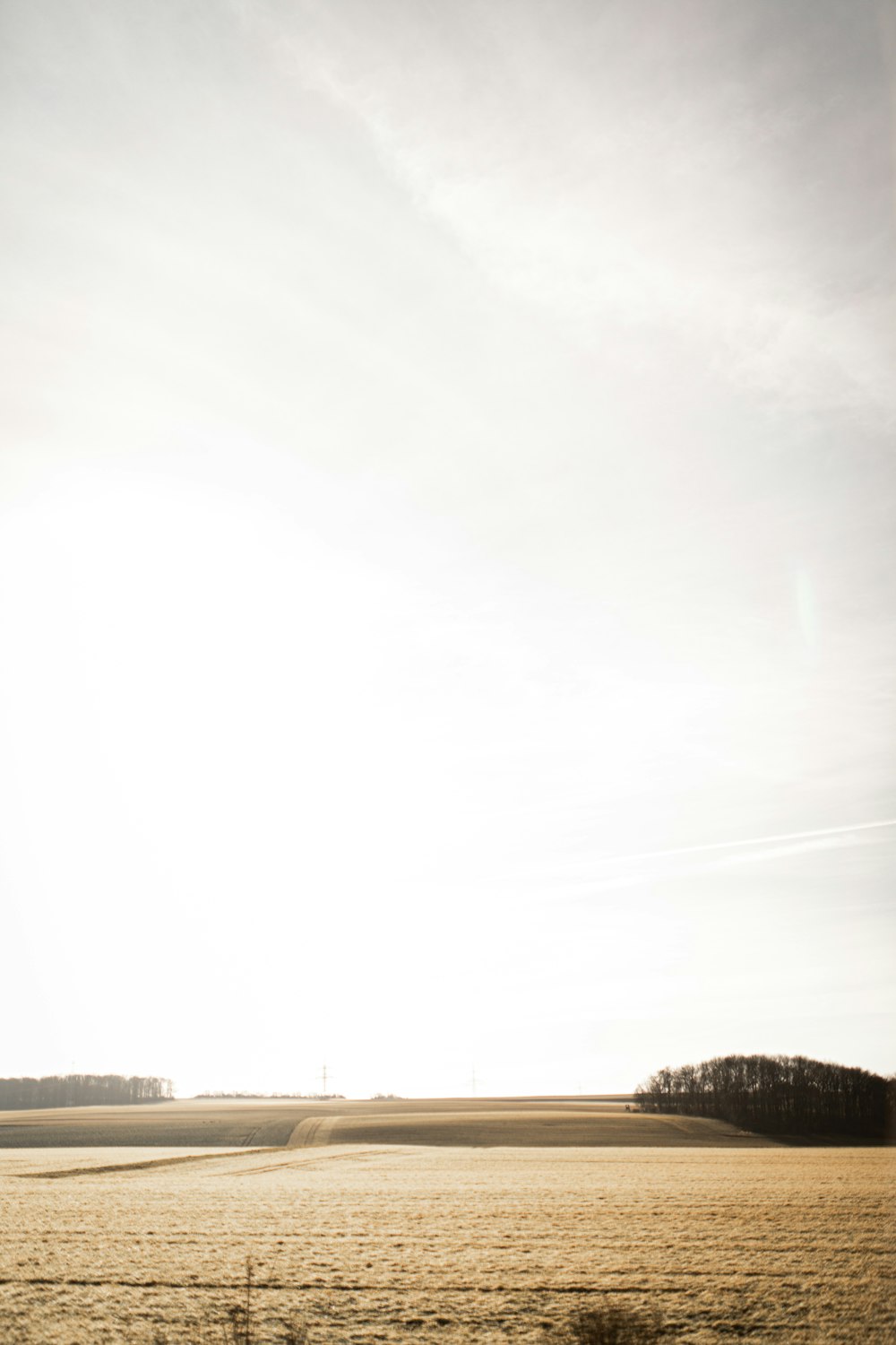 Weiße Wolken über grünen Bäumen und Straße