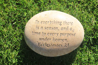 a stone with a quote on it sitting in the grass