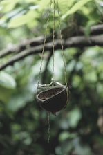 A rustic hanging object crafted from a halved coconut shell is suspended by thin, intertwined ropes. The background features lush, green foliage in a blurred effect, giving a sense of depth to the image.