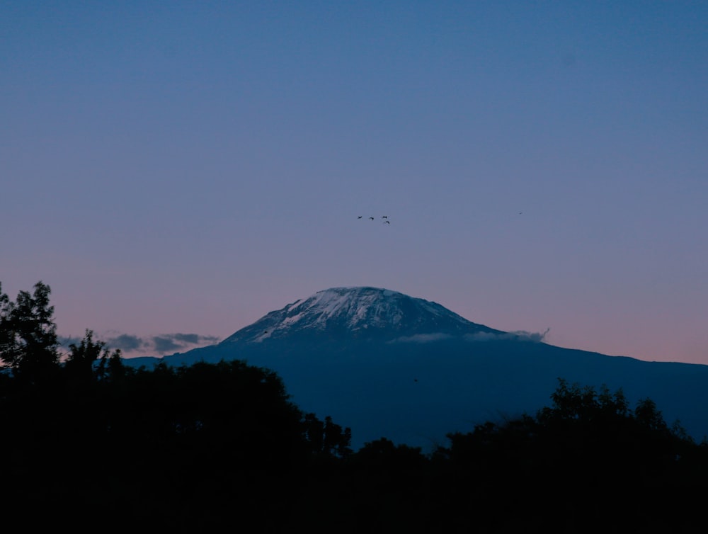 silhouette of trees and mountains during daytime