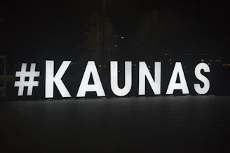 A banner displaying the 'Rajono Šviesa' logo at a regional political rally.
