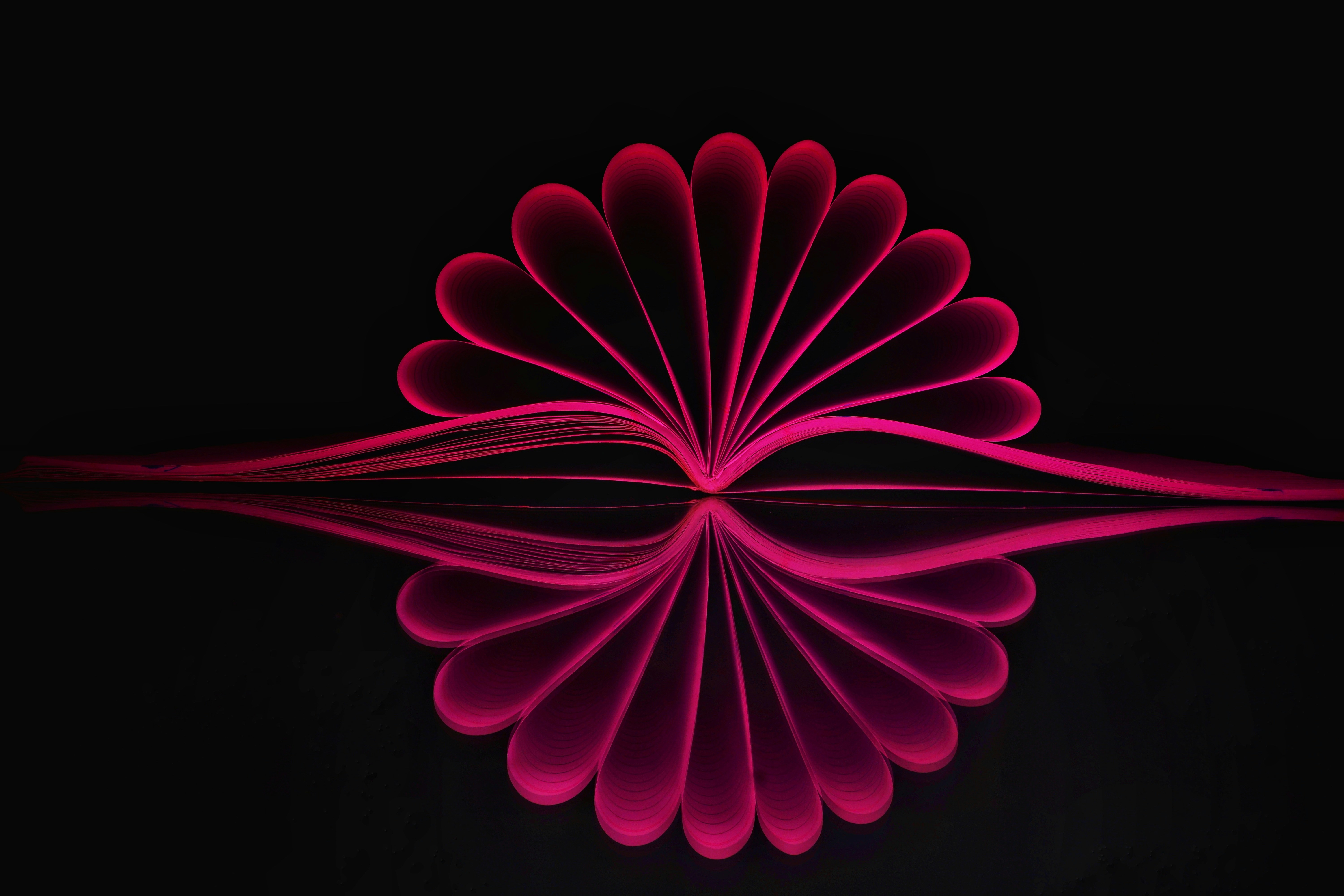 Photo by _reettalreja_