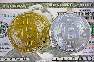 gold and silver round coin
