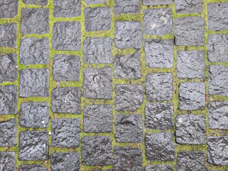 Close-up of a pressure washer cleaning moss off aged cobblestone pavement on a sunny day