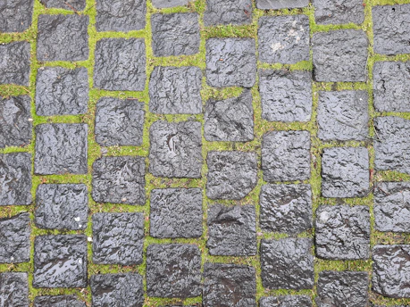 Close-up of clean, wet paving stones after professional pressure washing.