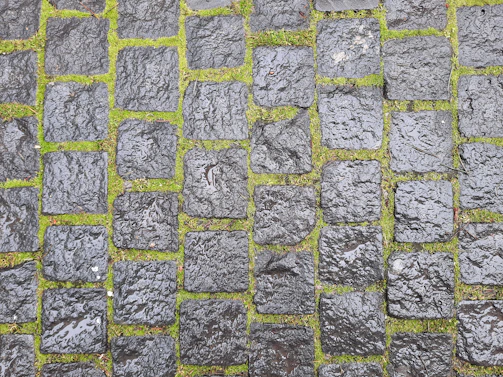 Close-up of a pressure washer cleaning moss off aged cobblestone pavement on a sunny day