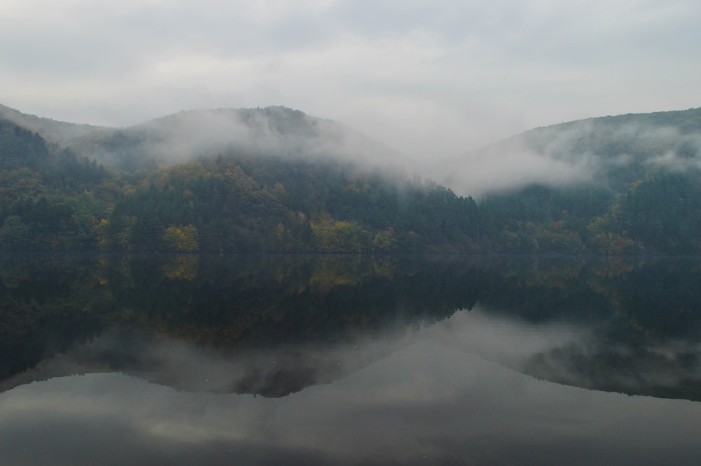 green trees near lake under white clouds during daytime