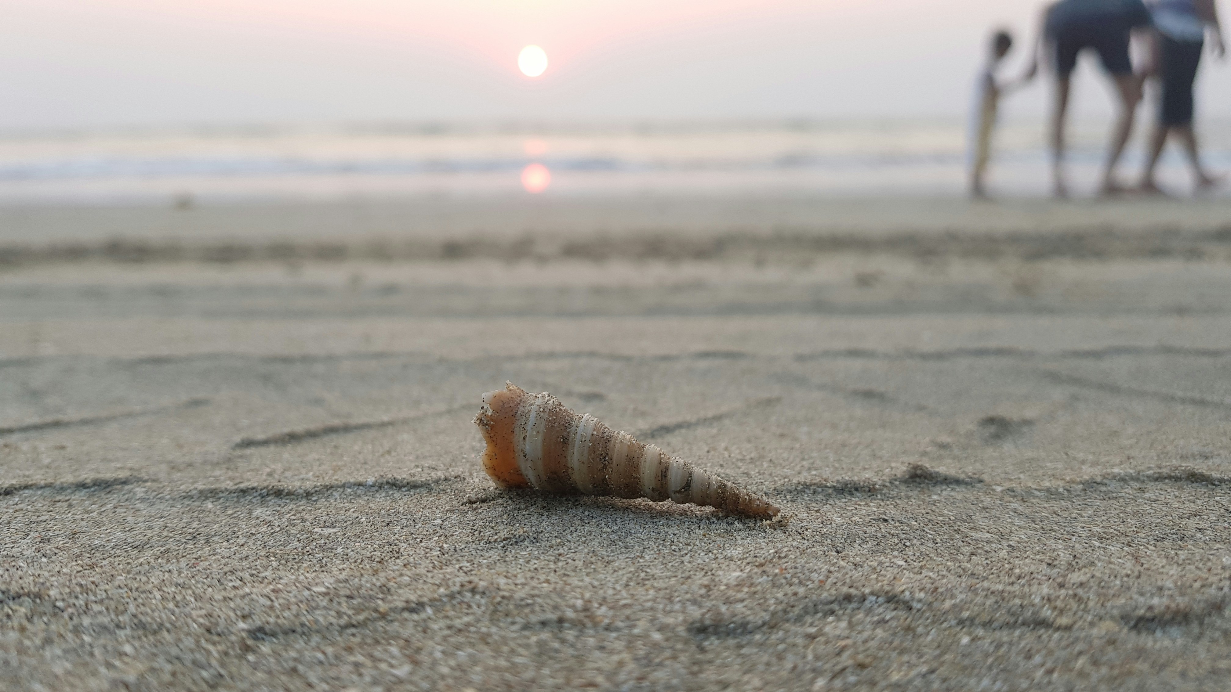 Photo by shreyas_gosavi