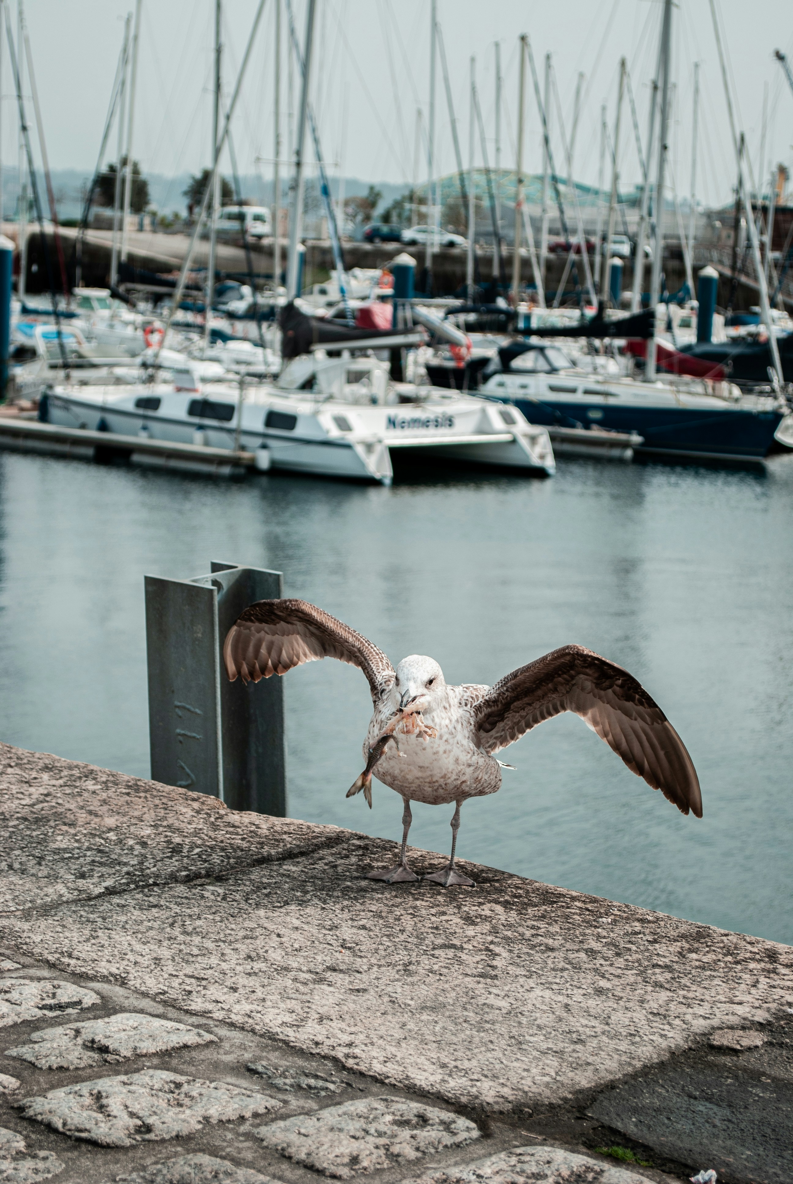 Photo by mariheigl
