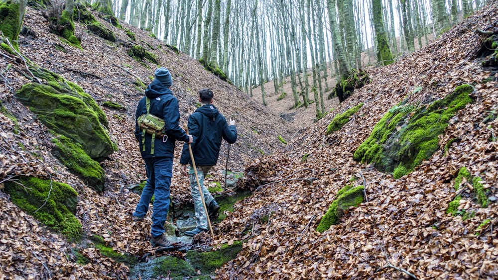 2 men walking on forest during daytime