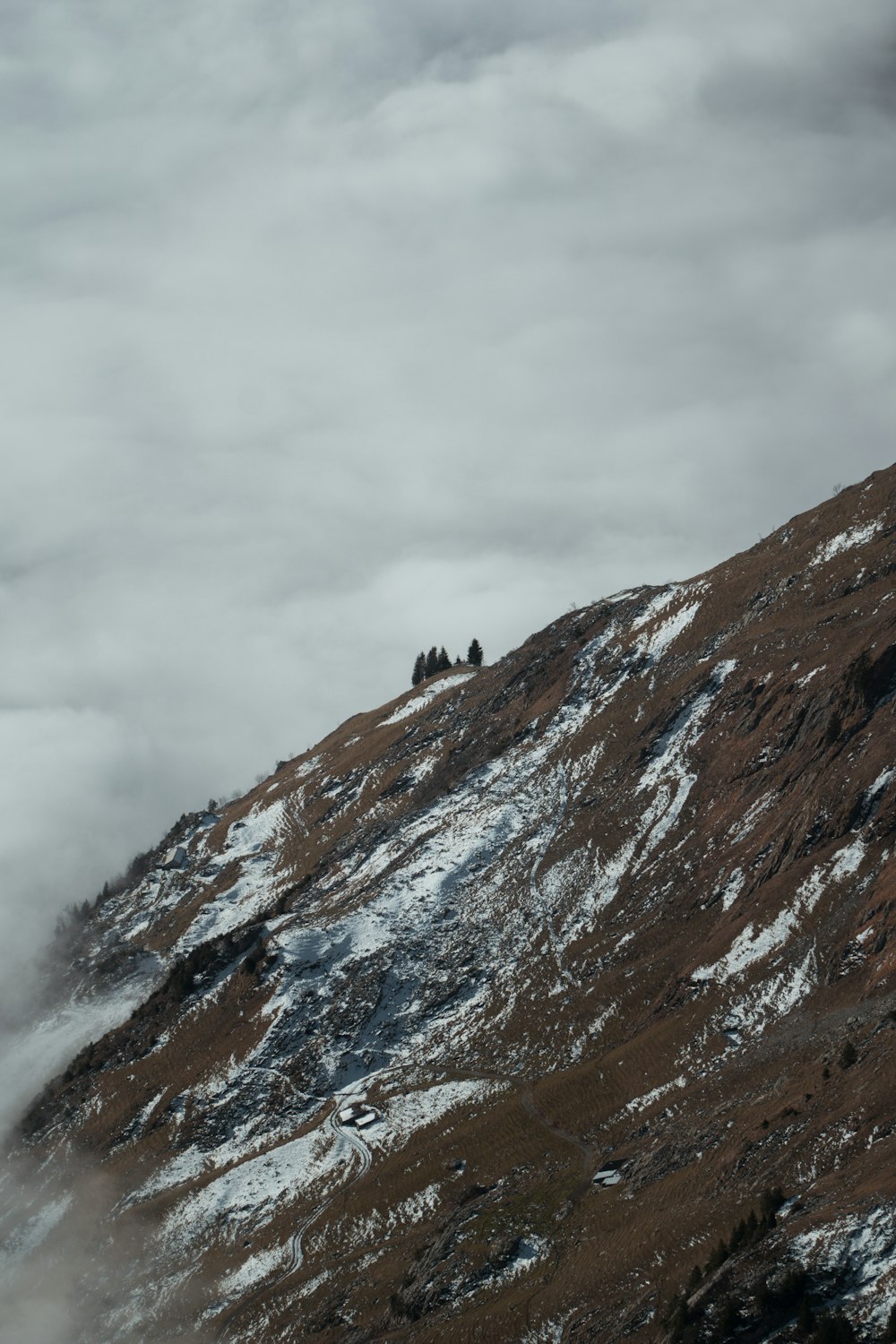 black bird on top of mountain