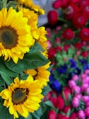 A vibrant arrangement of flowers featuring prominent yellow sunflowers in the foreground, surrounded by a mix of red, pink, and blue flowers. The greenery of the leaves enhances the freshness of the display.