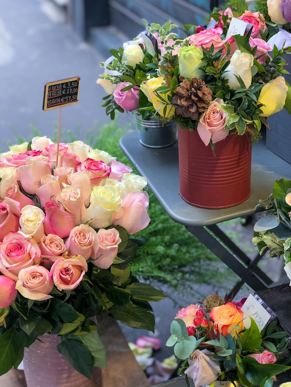 pink roses in pink plastic pot