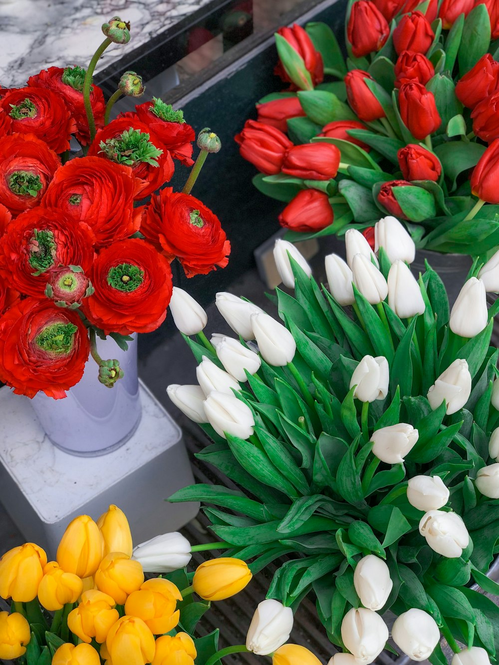 white and red tulips bouquet