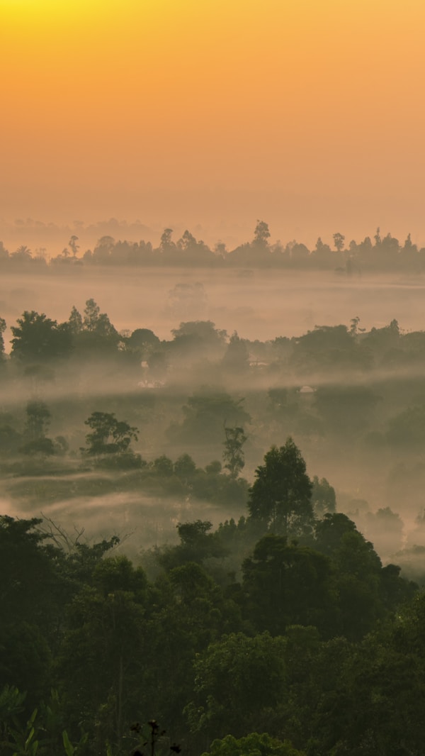 What to see in Cameroon: A Comprehensive Travel Guide