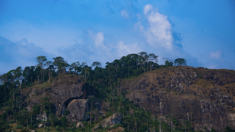 green trees on brown mountain under blue sky during daytime