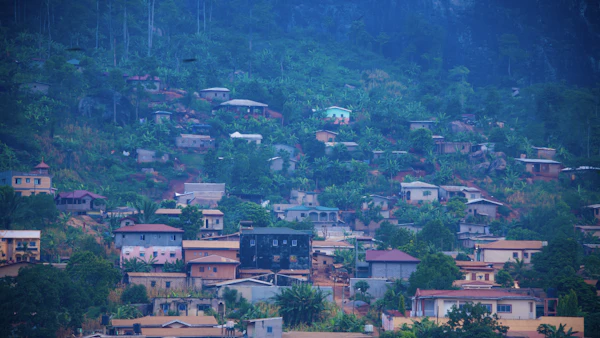 Vue aérienne de maisons et d'arbres dans les hauts plateaux camerounais