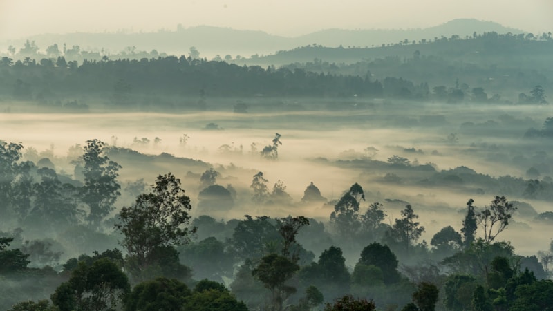 Hottest places in Cameroon by maximum mean temperature