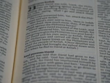 A close-up of a computer screen showing a draft of a novel in progress.