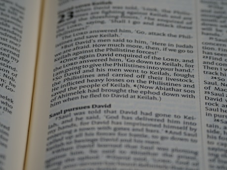 A close-up view of an open book, displaying text in a serif font. The focus is on several paragraphs with headings and lines of content, featuring dialogue and narrative elements.