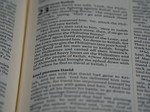 A close-up of a computer screen showing a draft of a novel in progress.