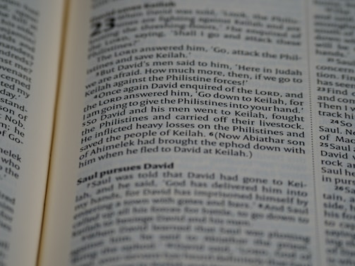 A close-up view of an open book, displaying text in a serif font. The focus is on several paragraphs with headings and lines of content, featuring dialogue and narrative elements.