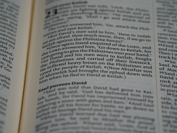 A close-up of a playwright passionately reading their script during a rehearsal.