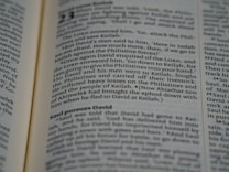 A close-up view of an open book, displaying text in a serif font. The focus is on several paragraphs with headings and lines of content, featuring dialogue and narrative elements.