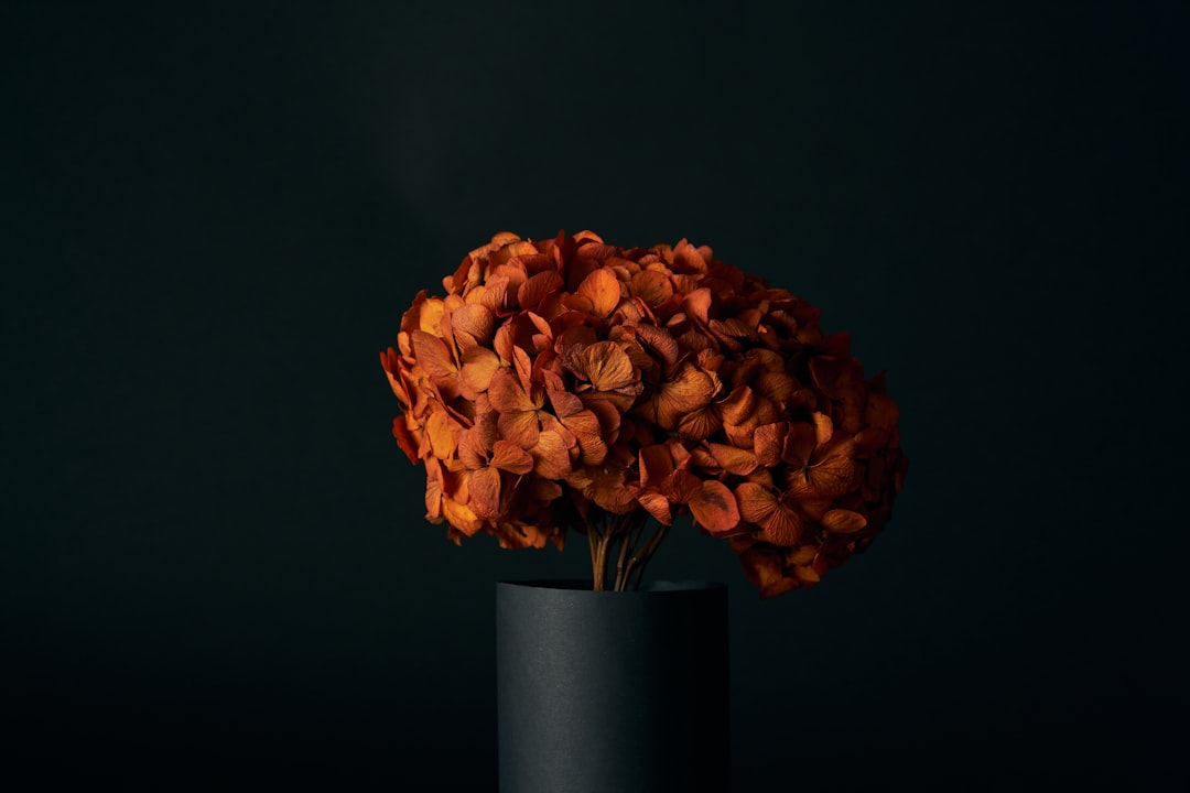 orange flower in black vase