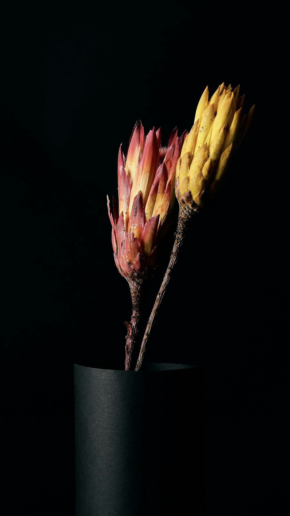 pink and yellow flower on black ceramic vase