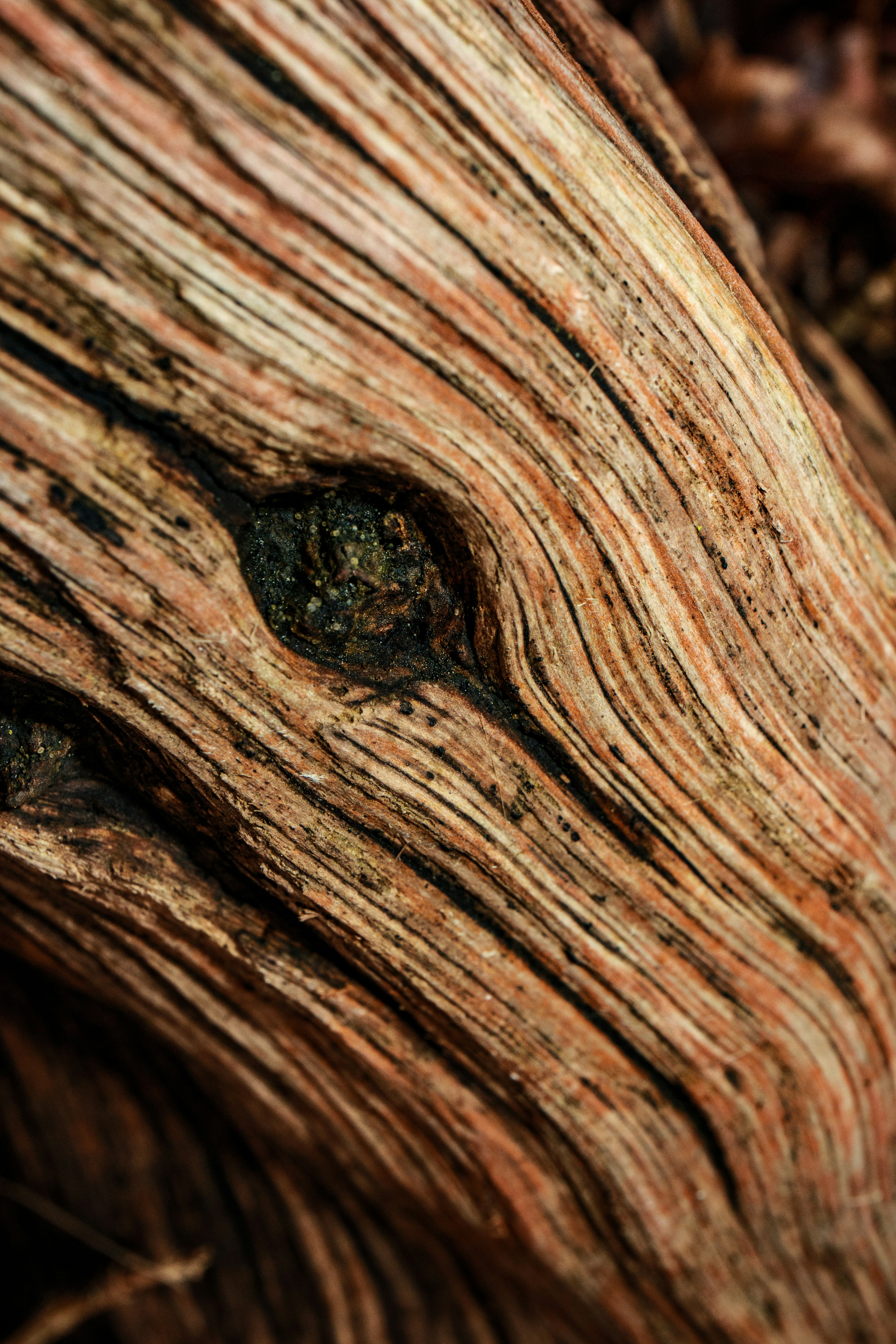 Photo by grievek1610begur