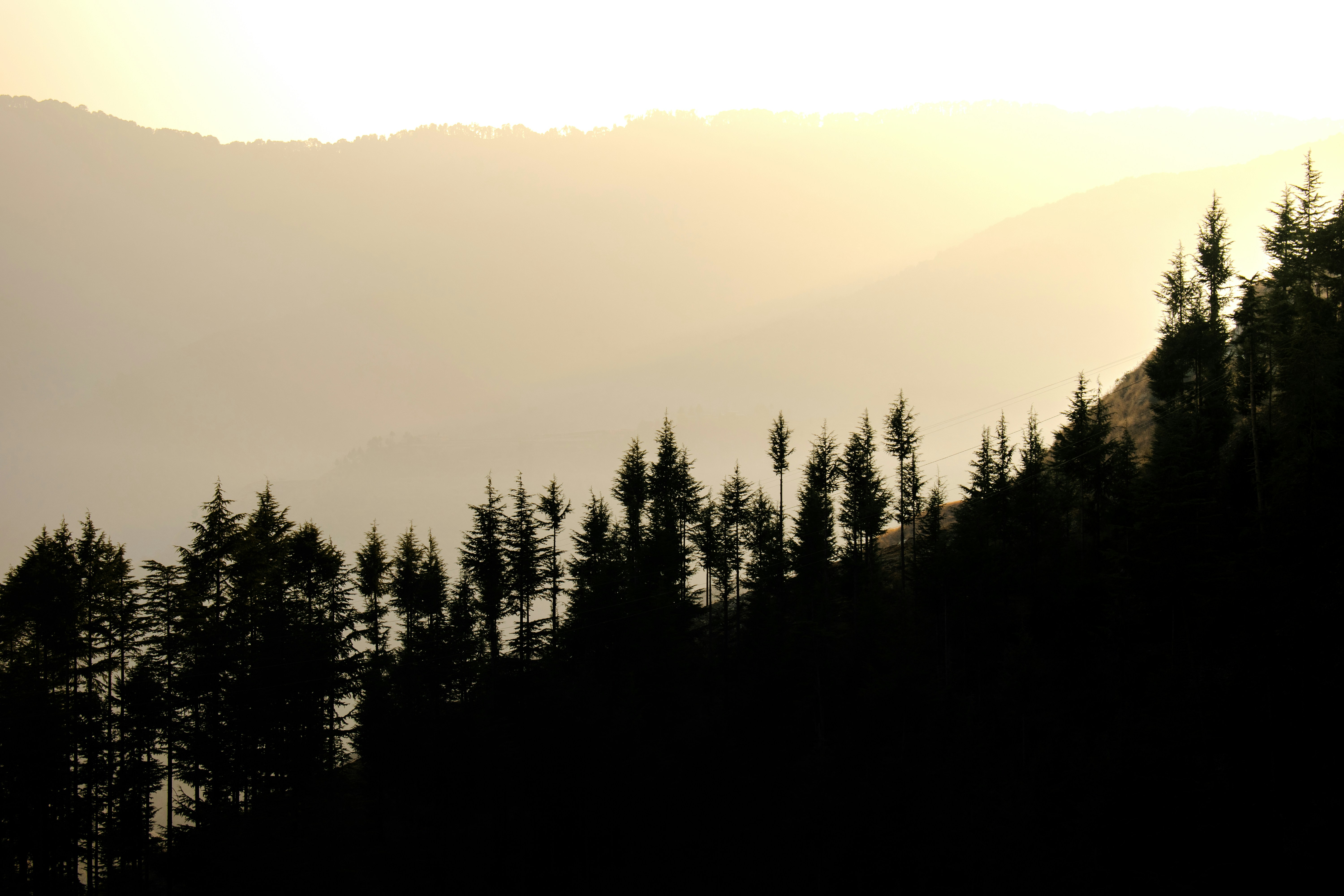 Photo by thatrecklessboy