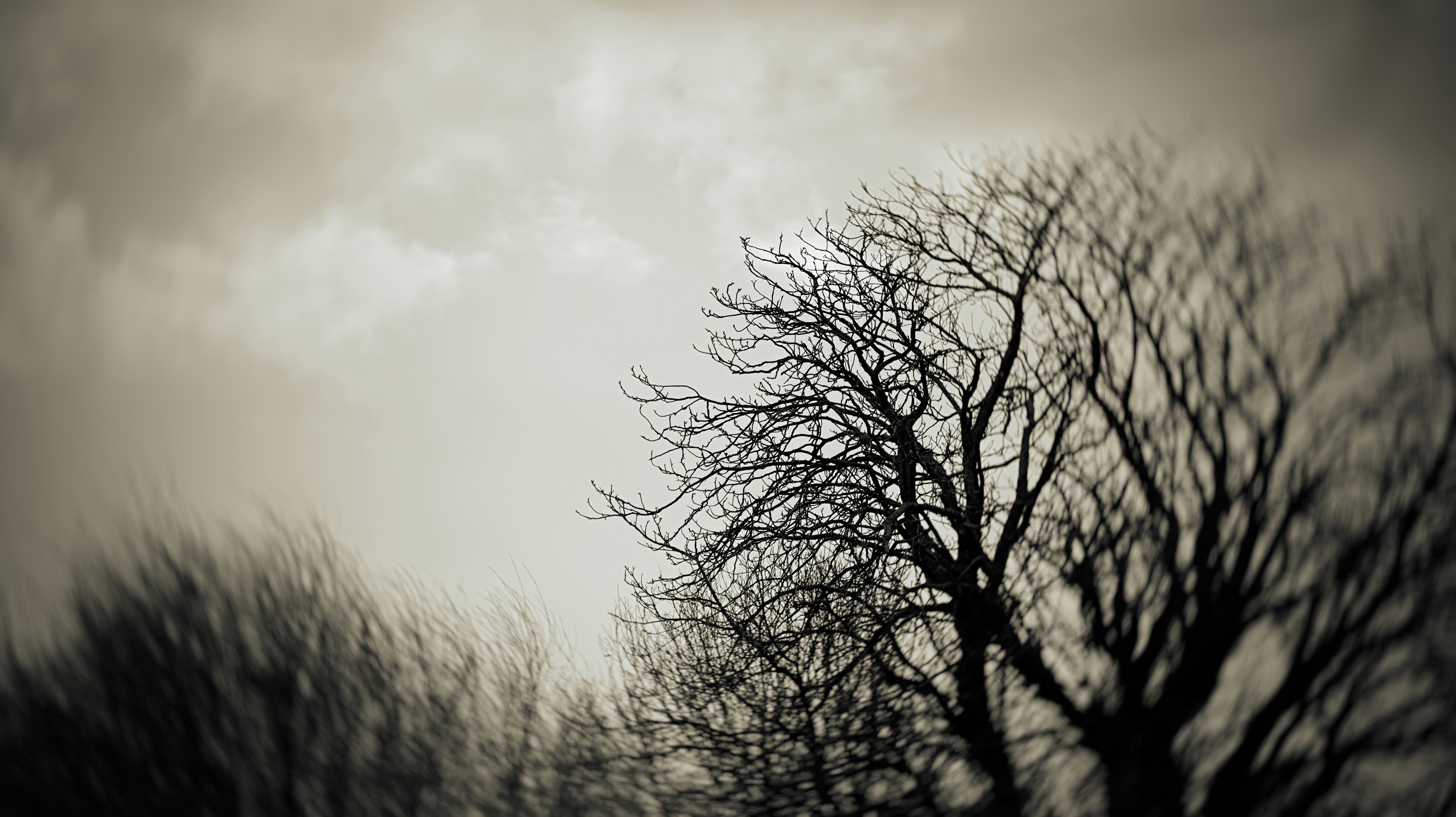 Photo by grievek1610begur