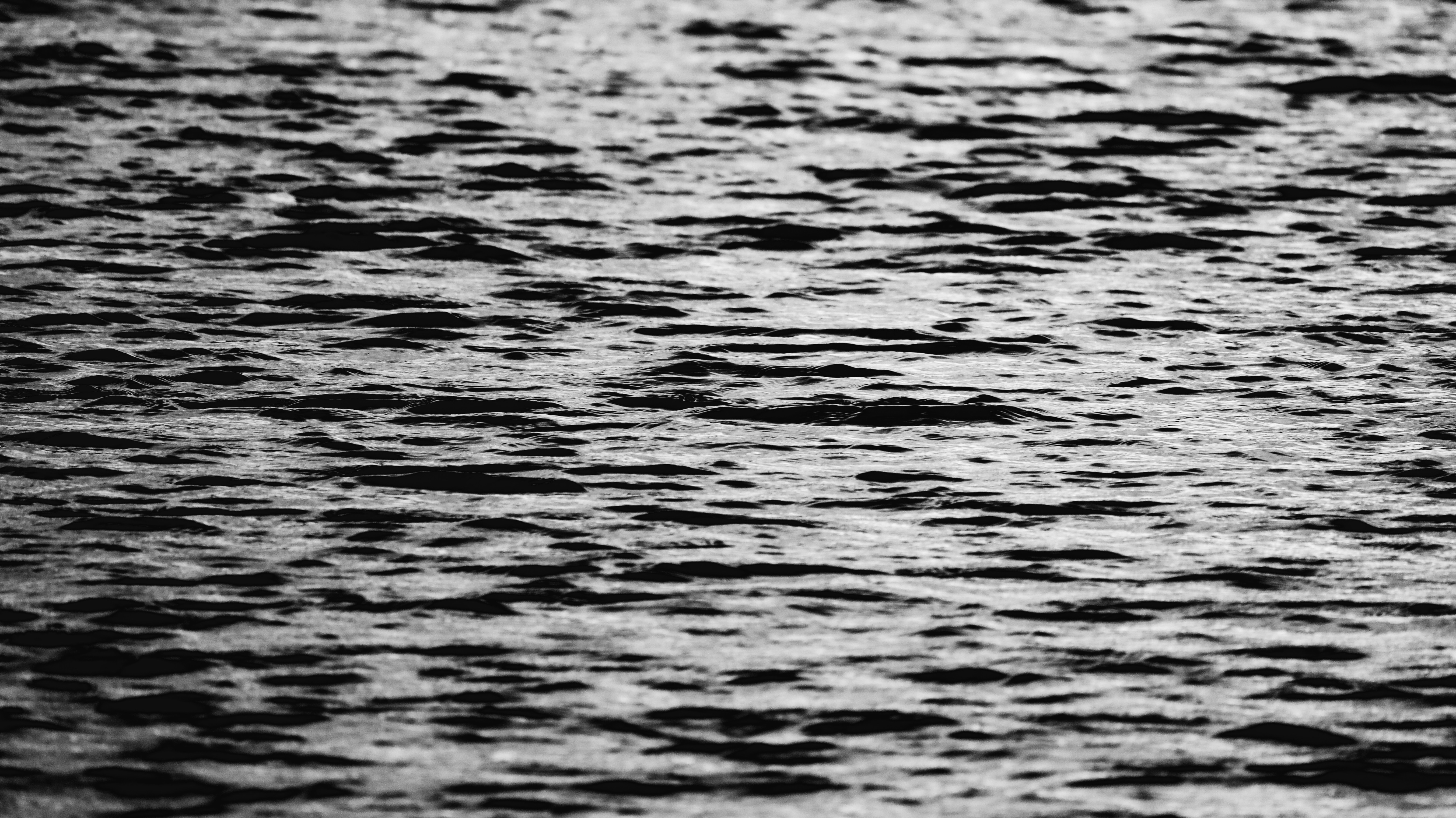 Photo by grievek1610begur