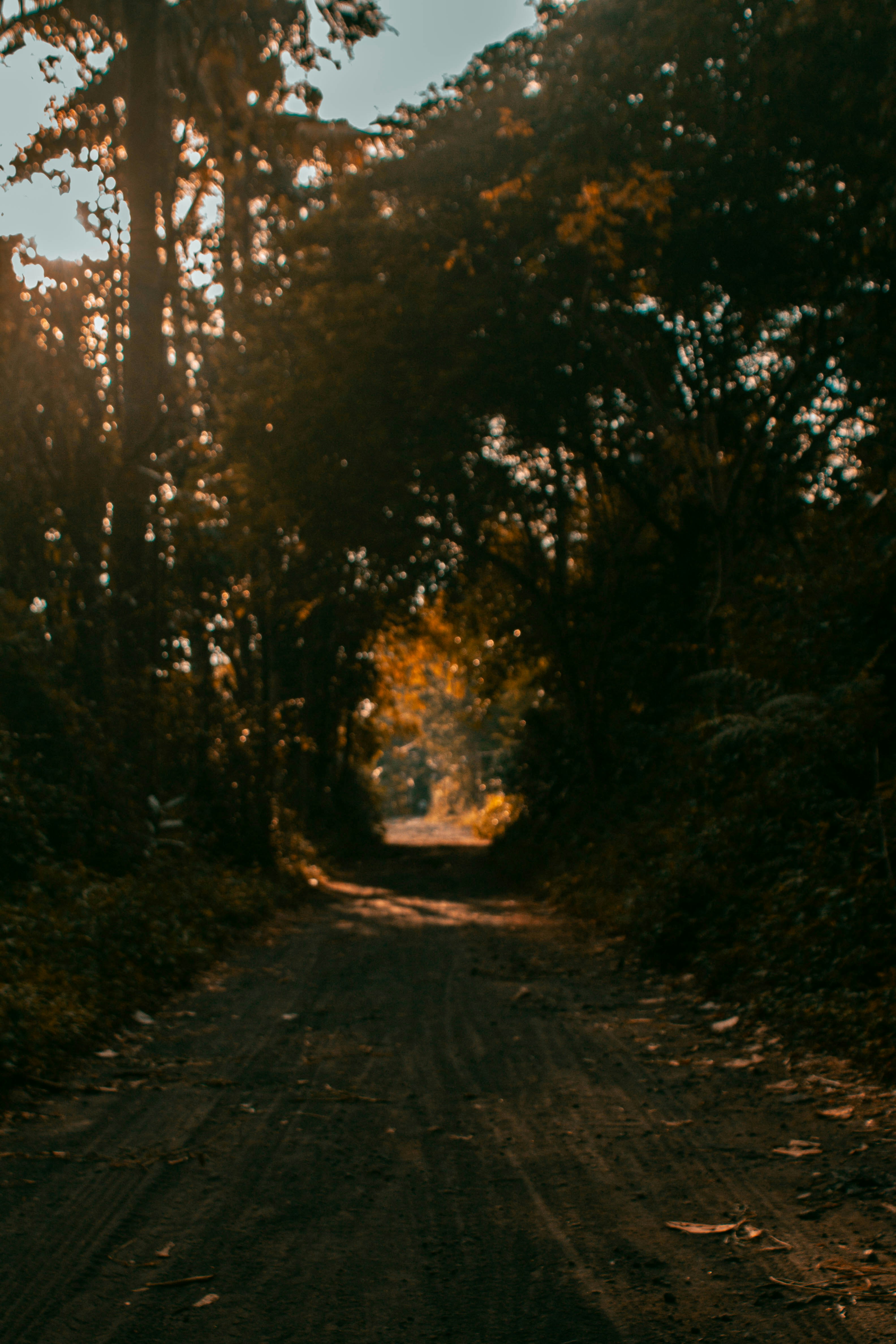 Photo by picimperfect