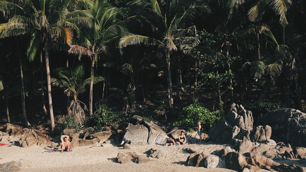 people sitting on brown sand near green trees during daytime