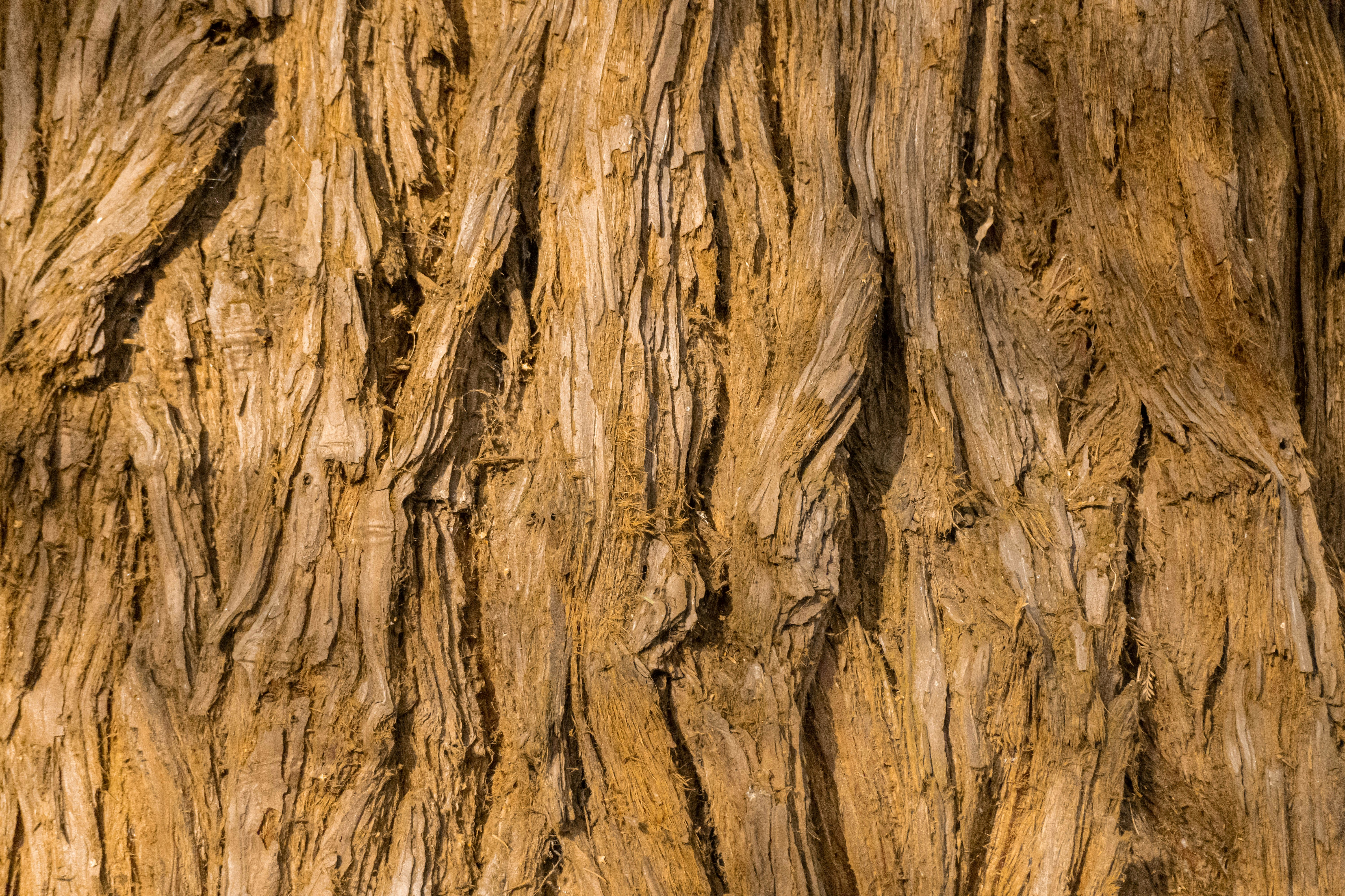 Photo by kylebushnell